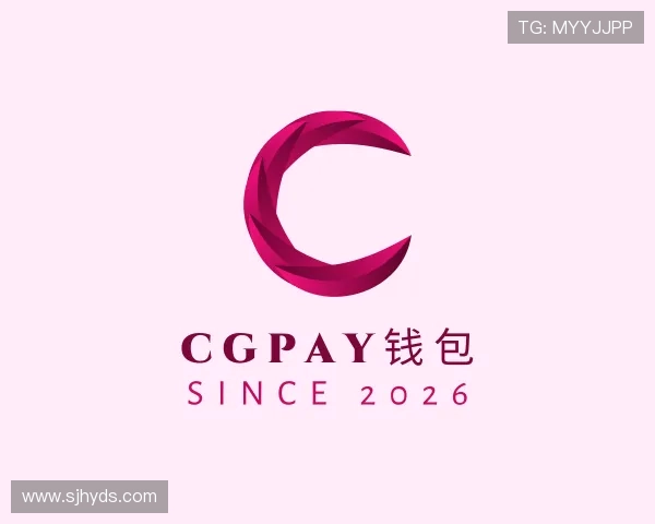 关于CGPay